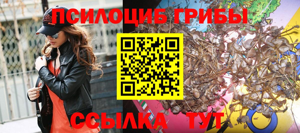 Псилоцибиновые грибы MAGIC MUSHROOMS Сафоново